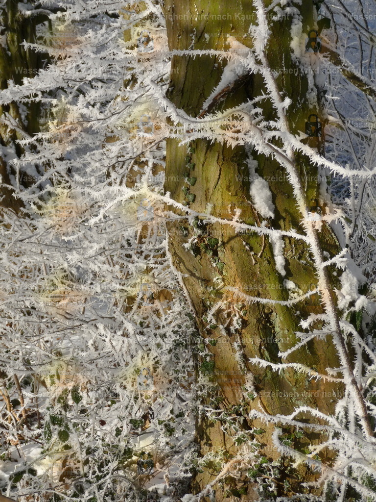 P1000213 | Fotoseite Wolkenblende - Das Hobby fotografieren begleitet mich schon  viele  Jahre. Auf den nächsten Seiten zeige ich ein paar Schnappschüsse der letzten Jahre und es kommen immer neue hinzu. Schau einfach mal rein. - Realisiert mit Pictrs.com