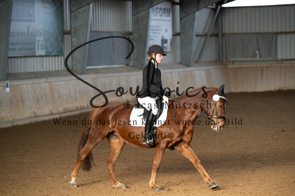 A7V05429 | Pferdefotograf