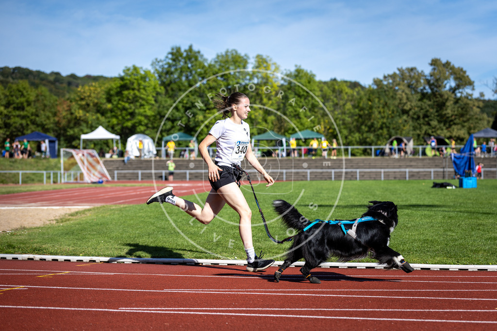 Pfotenfotografie_DV3A8019 | Hundefotografie, Tierfotograf, Pfotenfotografie, Fotoshooting Hund, Hunde Portrait, Hundesport, Hundeportraits, Heideshooting, Hunde, Sportfotograf, Hundefotograf, Turnierhundsport, THS,  - Realisiert mit Pictrs.com