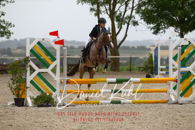 DKP47298 | Turniersportfotografie; Pferdefotografie; Dressurfotografie