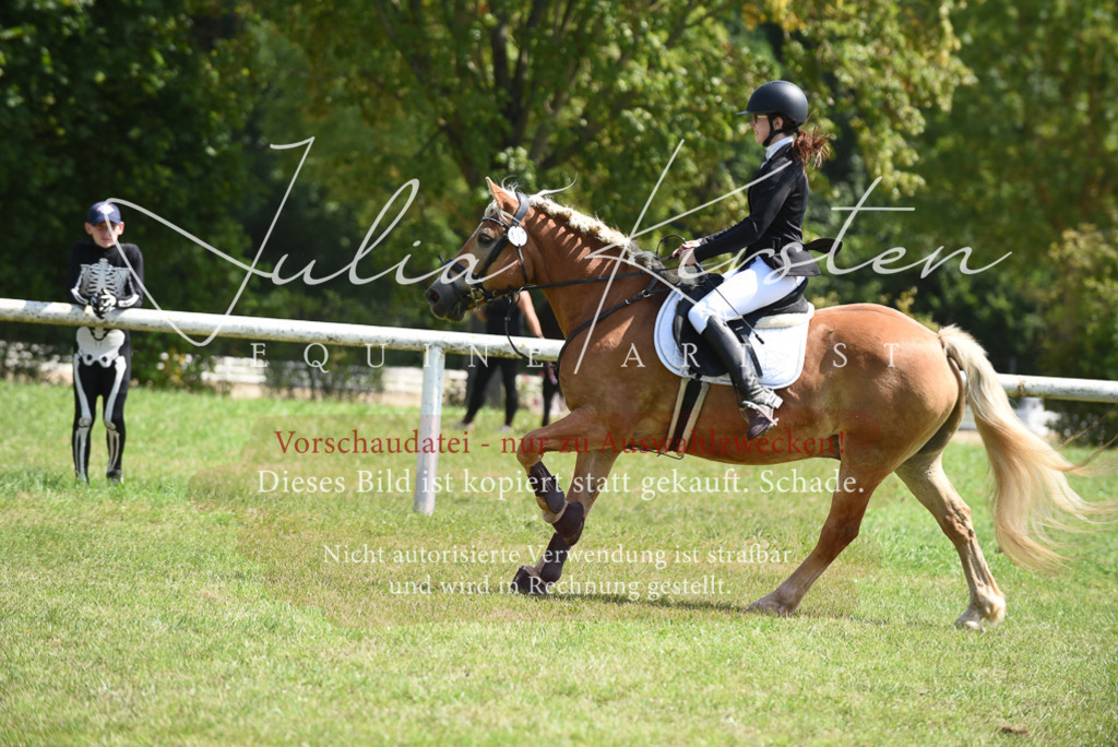 DSC_9944 | Pferde- und Turnierfotografie in Westsachsen. Pferdeportraits, Auftragszeichnungen und intuitive Kunst.