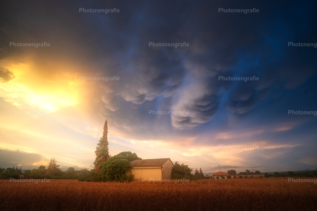 Ingelheim-7 | Photonengrafie´s Shop - Realisiert mit Pictrs.com