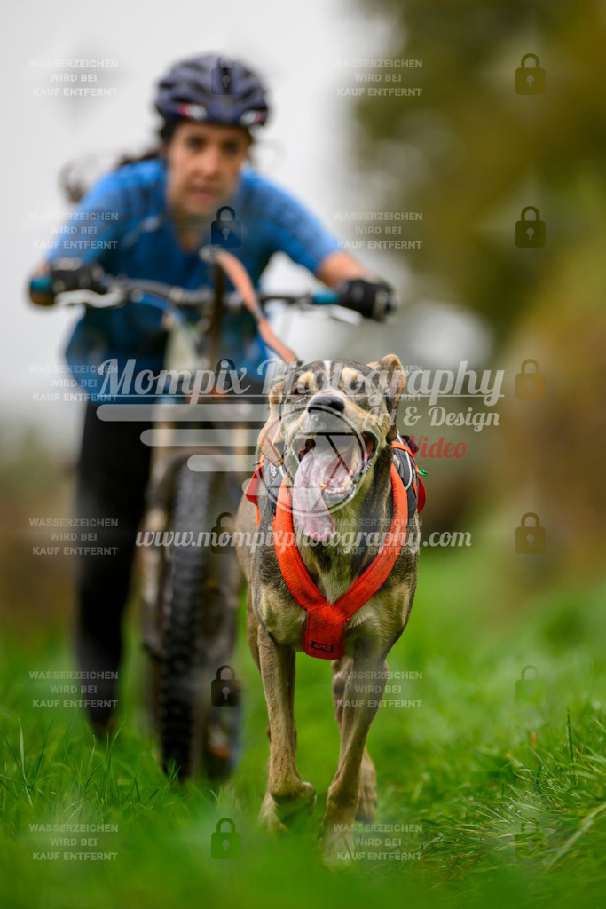 MompixPhotography_20TSB_E8_DS1-43 | PayLife