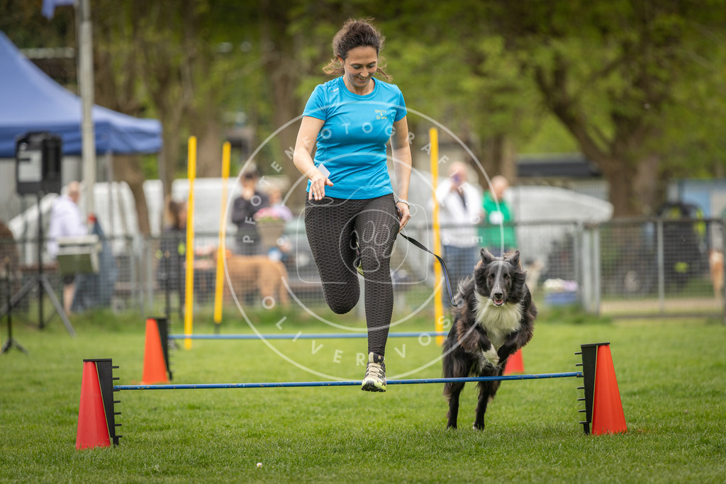 Pfotenfotografie_DV3A2438 | Hundefotografie, Tierfotograf, Pfotenfotografie, Fotoshooting Hund, Hunde Portrait, Hundesport, Hundeportraits, Heideshooting, Hunde, Sportfotograf, Hundefotograf, Turnierhundsport, THS,  - Realisiert mit Pictrs.com
