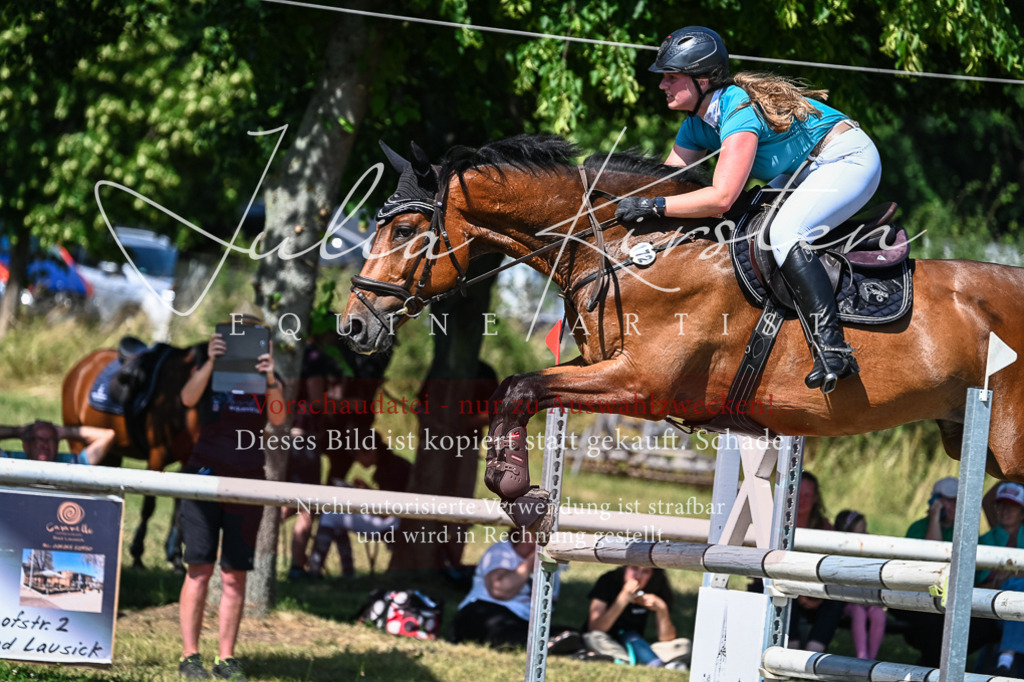 DSC_1518 | Pferde- und Turnierfotografie in Westsachsen. Pferdeportraits, Auftragszeichnungen und intuitive Kunst.