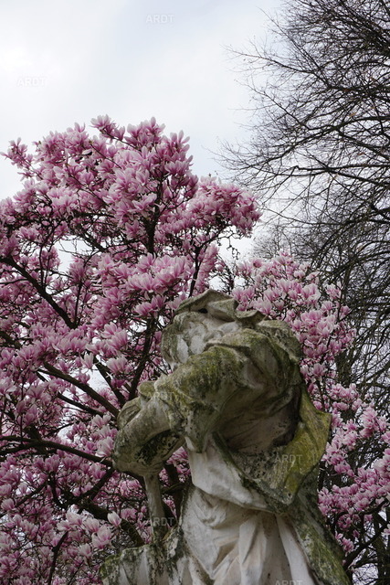 Momente 6 | Palastgarten Trier
