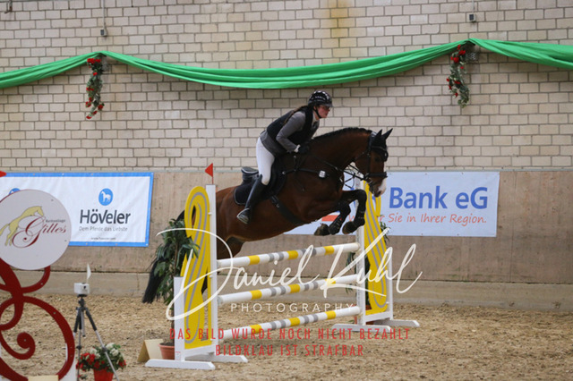 IMG_0585 | Turnierfotos kaufen im Webshop von Daniel Kuhl Photography – entdecke professionelle Reitsportfotos aus Turnieren & Events. Hochwertige Turnierbilder online bestellen & sichern. Jetzt Fotos von Reitsportturnieren kaufen!