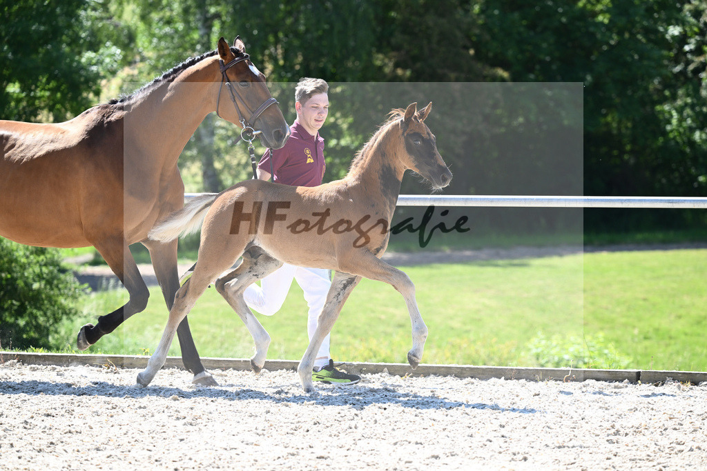 Kat-Nr. 7 HF Nechristo_Zimmermann_16230192 | hf-fotografie - Realisiert mit Pictrs.com