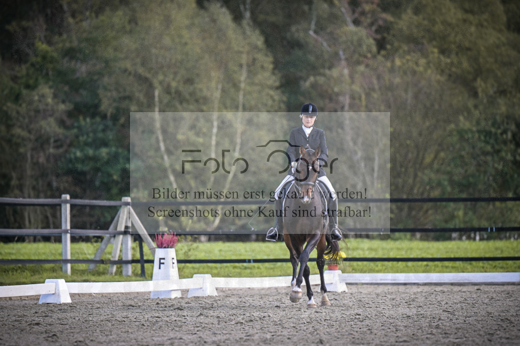 DOS_3944 | Entdecke hochwertige Reitturnierfotos von Foto Oger. Professionell, emotional und authentisch – jetzt Lieblingsmomente im Shop bestellen.Deutschlandweite Turnierfotografie. - Realisiert mit Pictrs.com