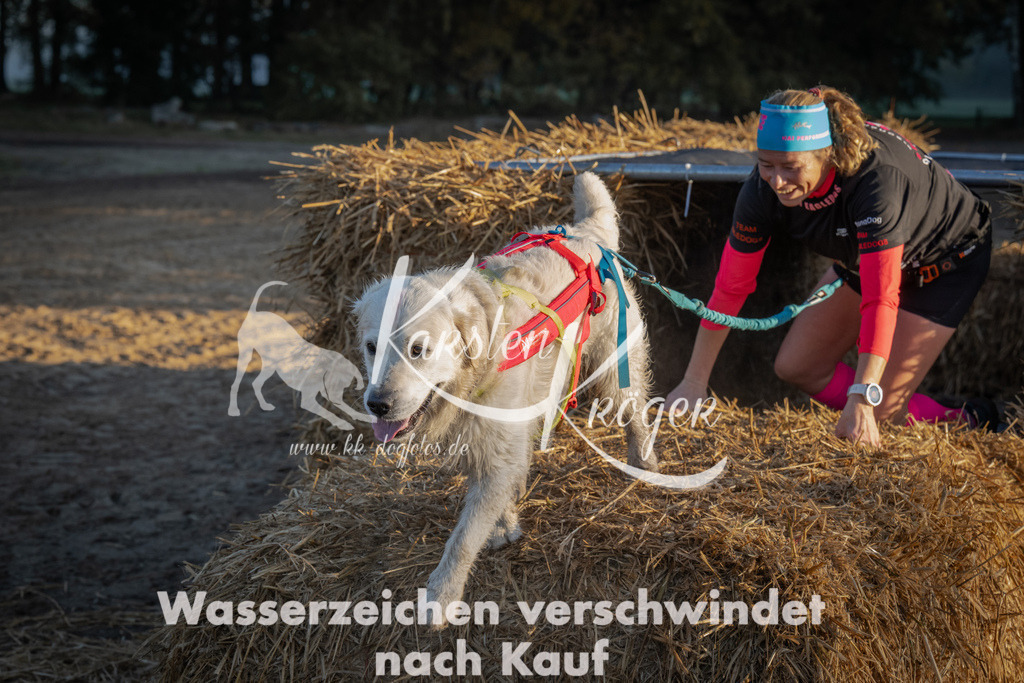 0905_ZZ91170 | kk-dogfotos