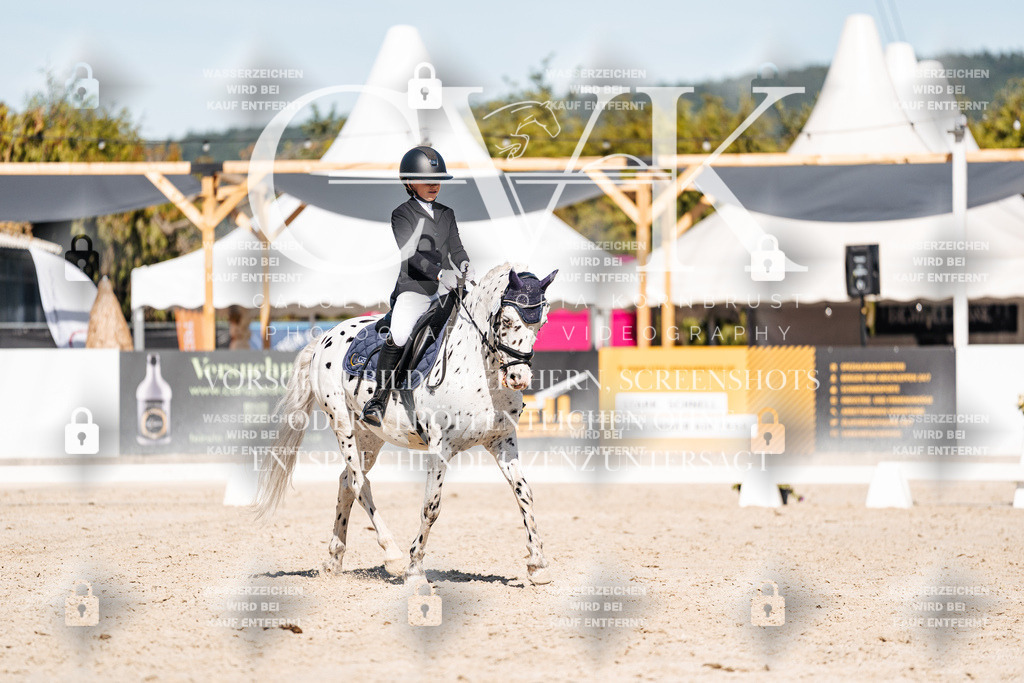 CK908593 | Turnierfotografie Pferdefotografie Trier Rheinland-Pfalz Pferdesport Reitsport Tierfotografie Sportfotografie Pferdevideo Pferdevideografie Equestrianvideography equestrianphotography  - Realisiert mit Pictrs.com