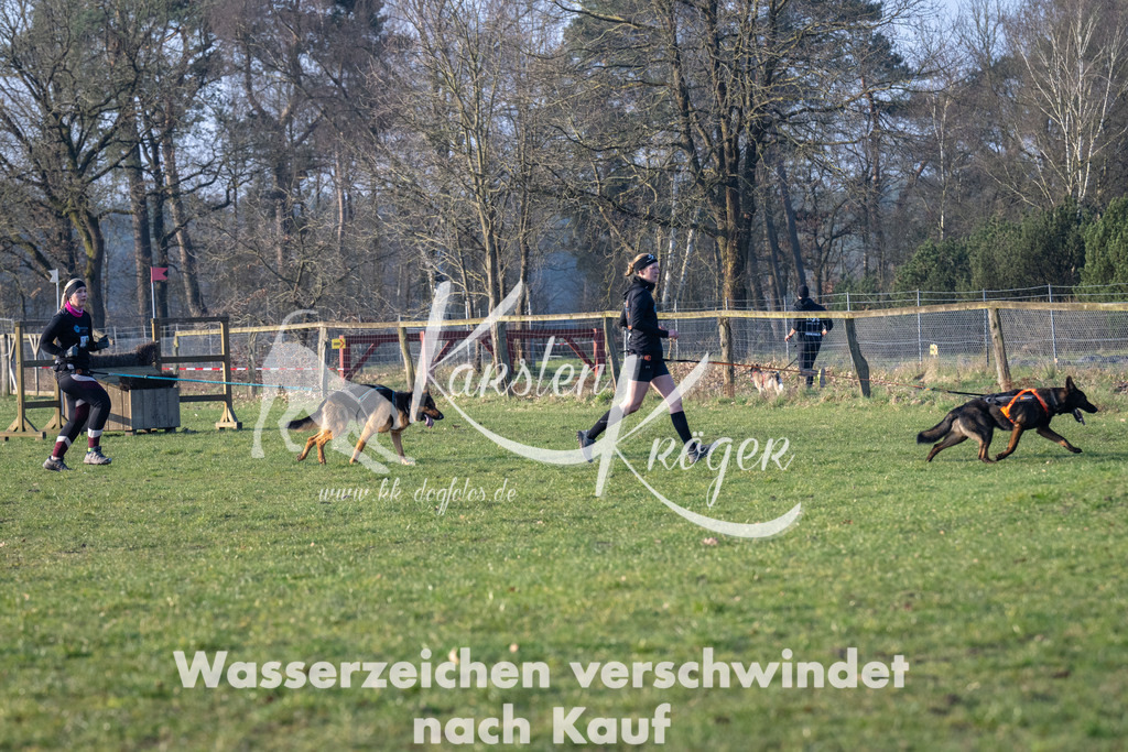 _ZZ92365 | kk-dogfotos