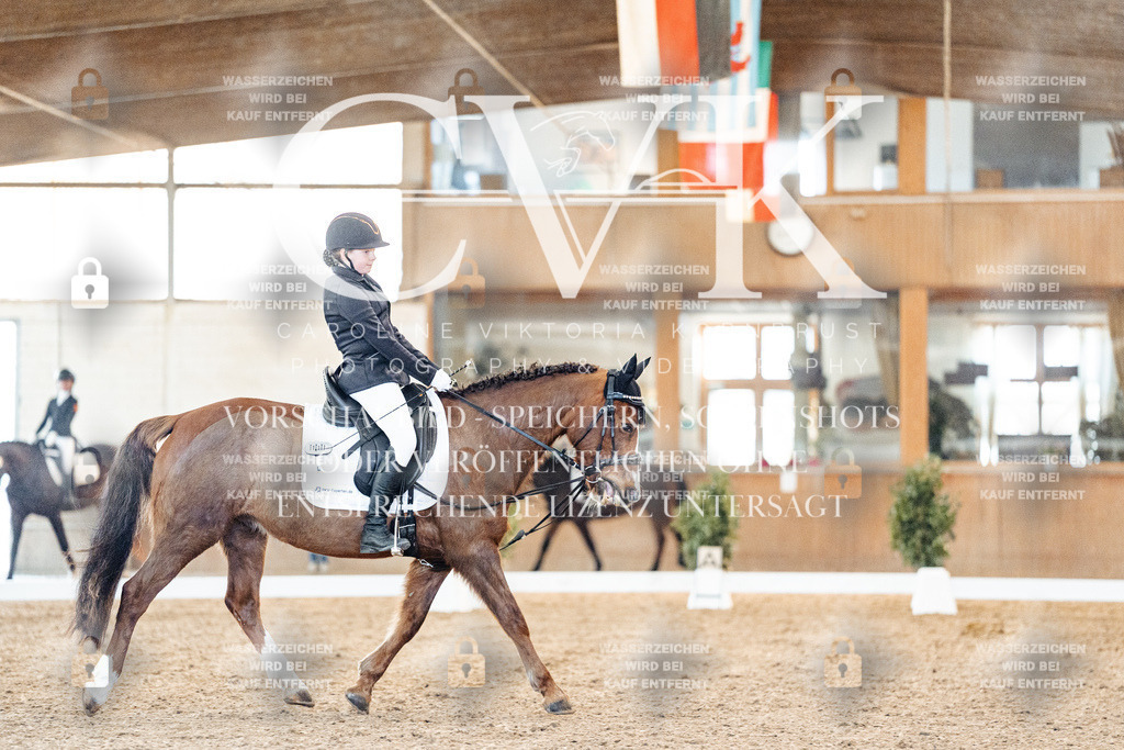 CK907060 | Turnierfotografie Pferdefotografie Trier Rheinland-Pfalz Pferdesport Reitsport Tierfotografie Sportfotografie Pferdevideo Pferdevideografie Equestrianvideography equestrianphotography  - Realisiert mit Pictrs.com