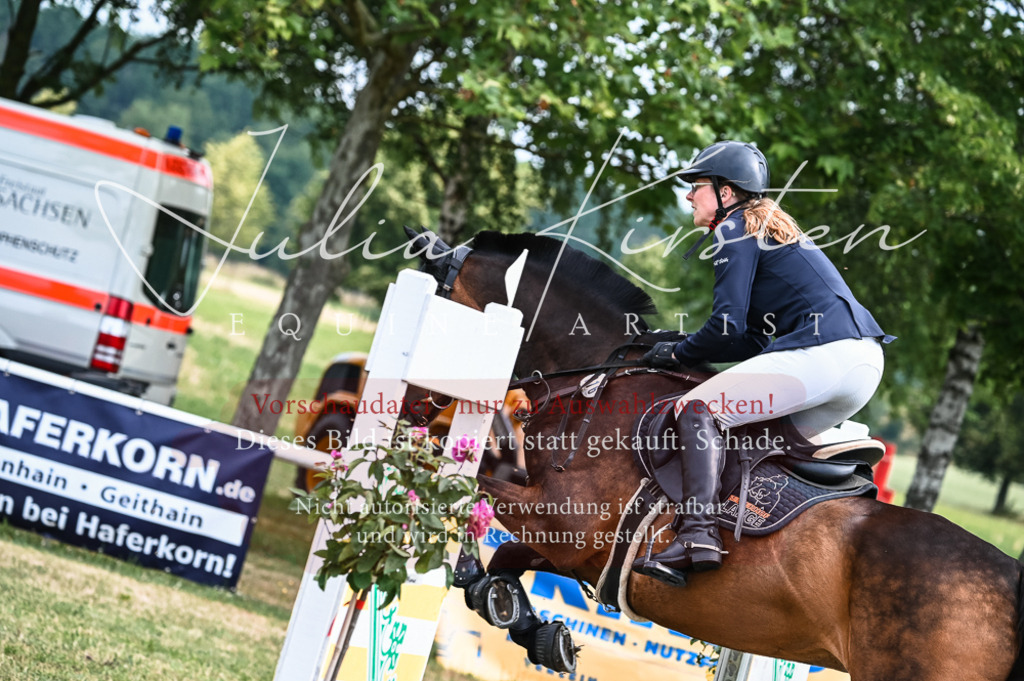 DSC_8260 | Pferde- und Turnierfotografie in Westsachsen. Pferdeportraits, Auftragszeichnungen und intuitive Kunst.