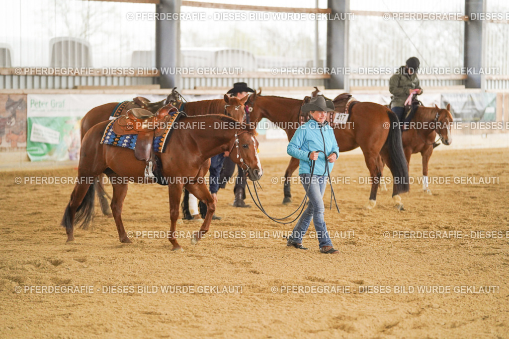 DSC00254 | Pferdegrafie