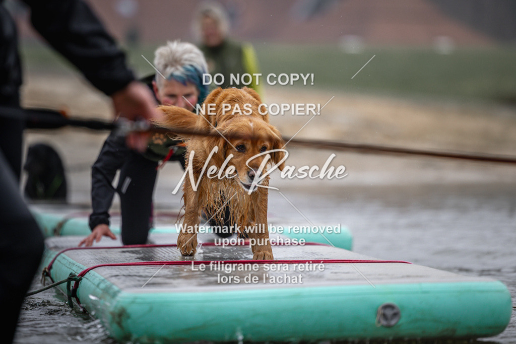 nelerasche_Hulsbeek_Sa0845-1030_81 | nelerasche