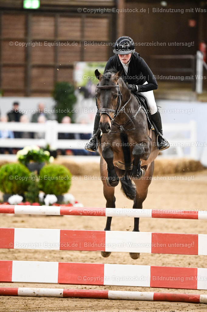 20260307_Hengstvorstellung-Marbach_0130 | equistock