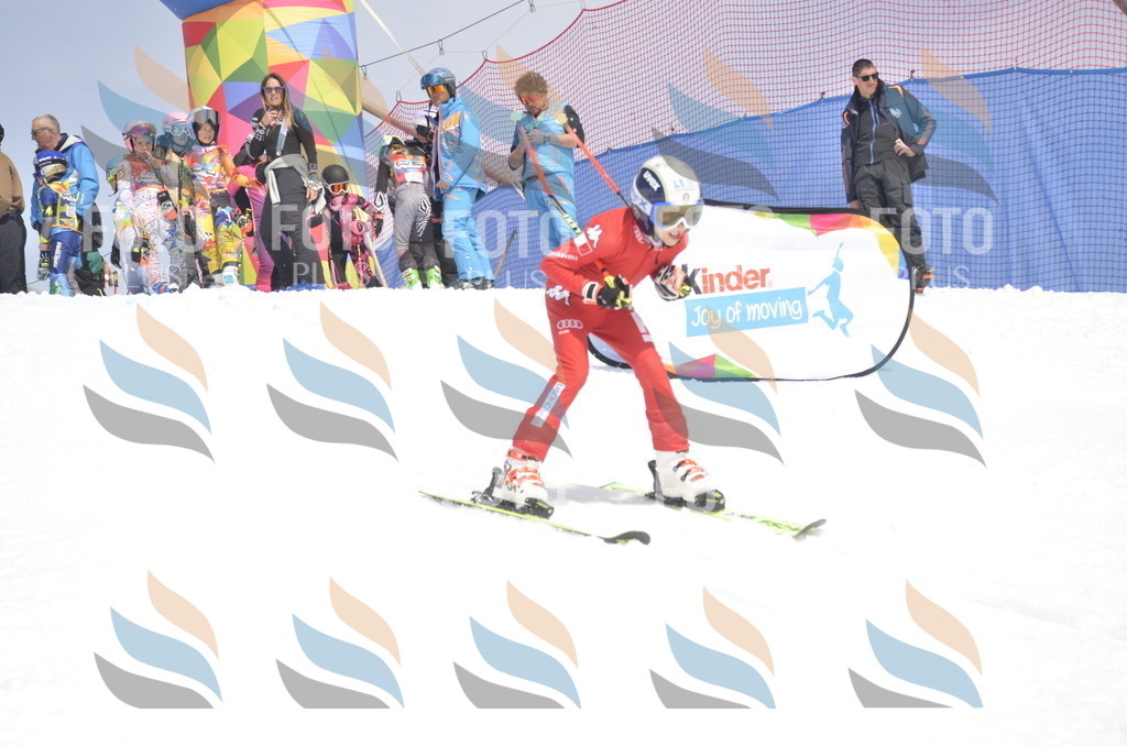 _ELE8840 | holidayphoto