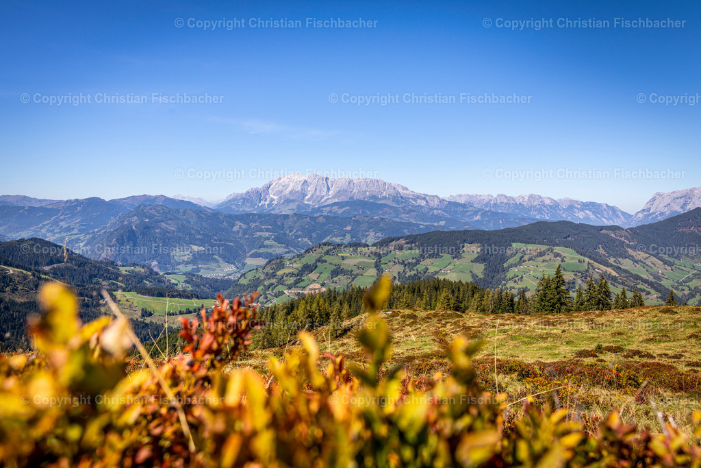 Fotos_Copyright_Chri_Fischbacher_Druck-342 | Bildershop Chri Fischbacher - Realisiert mit Pictrs.com