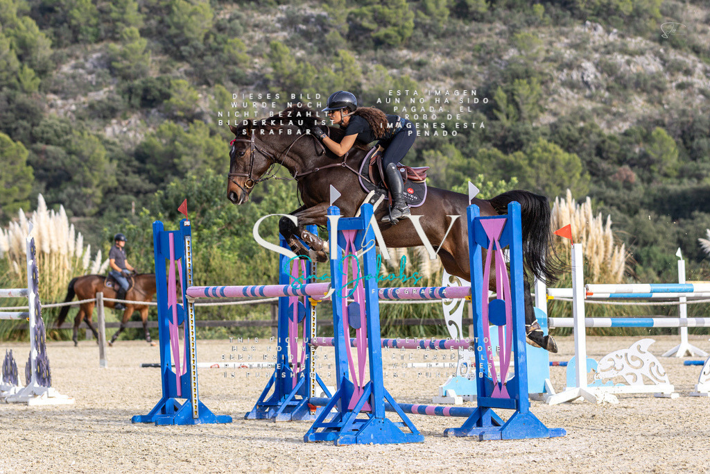 IMG_4691 | s-jay-photography - Realisiert mit Pictrs.com