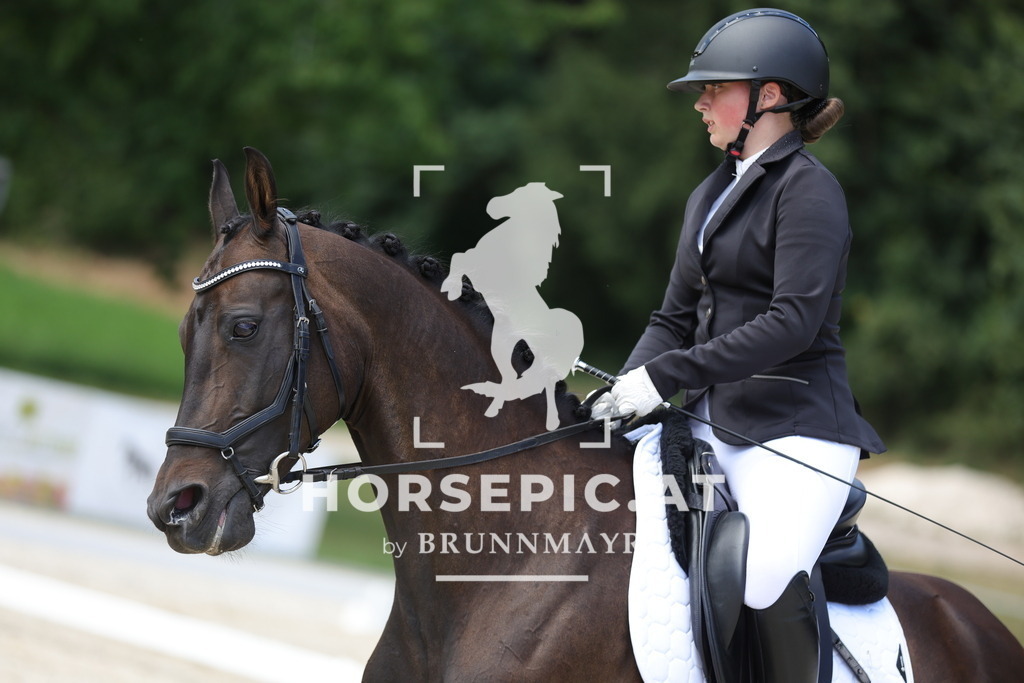 0P6A2284 | Willkommen bei Brunnmayr - Design & Fotografie – Ihrem Spezialisten für Reitturniere und Pferdeveranstaltungen in Oberösterreich, Salzburg und Bayern! Seit über 17 Jahren sind wir leidenschaftlich dabei.