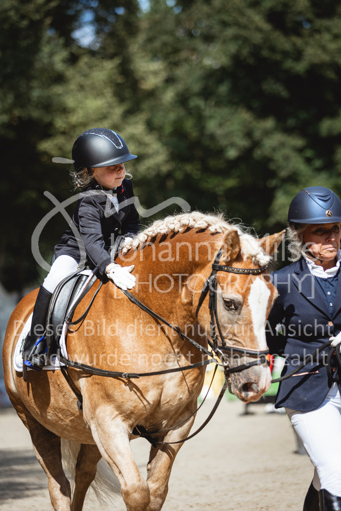 240915_OWLCh_FuehrzuegelWB-696 | Deine schönsten Turniermomente als professionelle Fotos! Entdecke hochwertige Pferdesport-Fotografie im Online-Shop. Jetzt Fotos finden & bestellen!