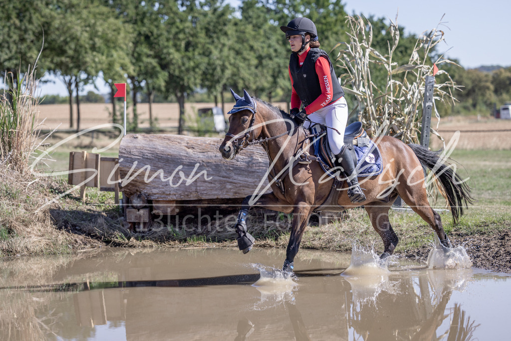 20260906-_3LI2937 | Tierfotografie Pferde, Hunde, Katzen, Haustiere.
Turnierfotografie Reitturniere, Reiten, Springreiten, Dressur in Hanau, dem Main-Kinzig-Kreis und dem Rhein-Main- Gebiet um Frankfurt