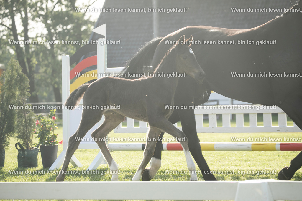 598A7446 | photographylinaismer - Realisiert mit Pictrs.com