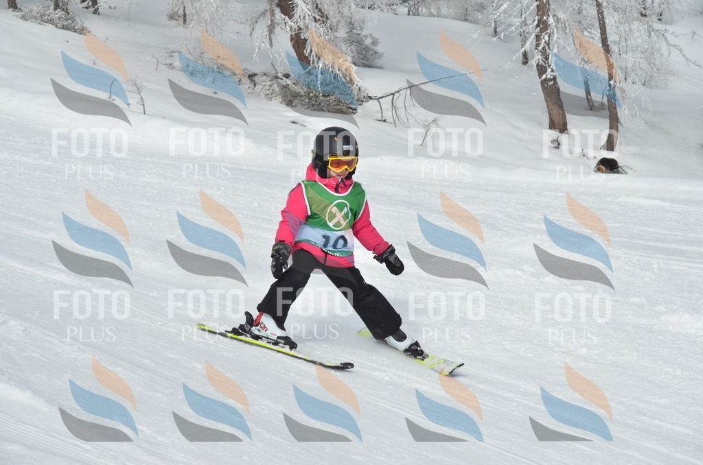 D8523 | holidayphoto