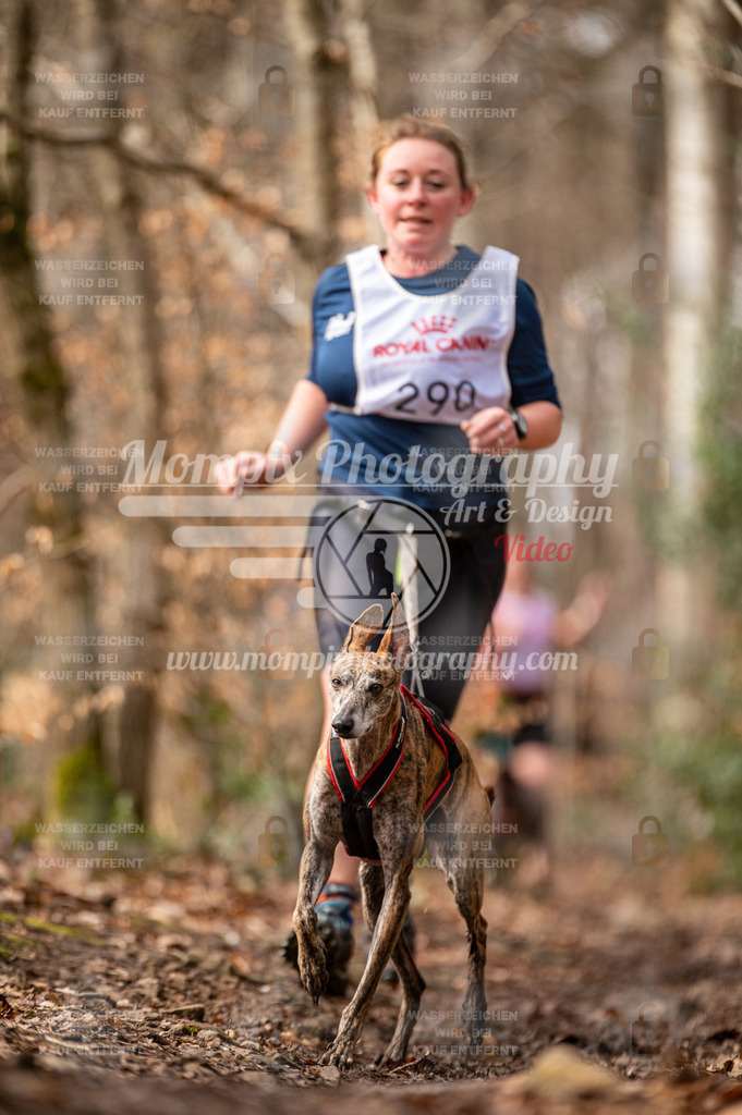 SPA_2023_DIM_CCK-148 | PayLife