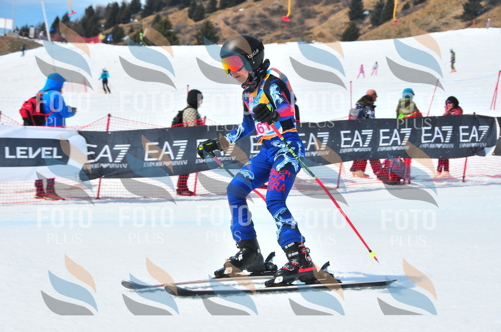 DSC_7047 | holidayphoto