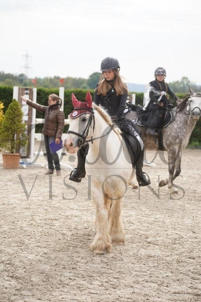 pfmagarethenhof (785) | d.tail Visions - Shop - Realisiert mit Pictrs.com