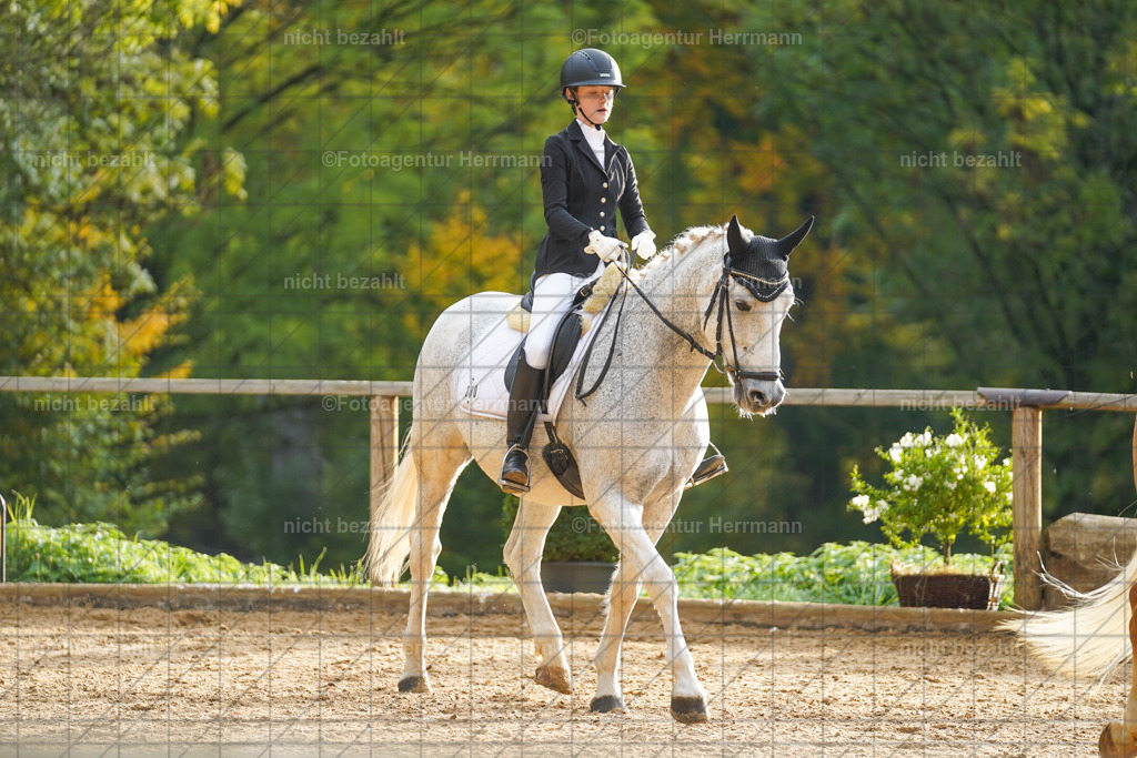 20221008-FAH00810 | Diessen am Ammersee, 2022, Dressur- und Springturnier, Reitsportbilder, Turnierfotografen Bayern, Pferdefotografen, Fotoagentur Herrmann, Turnierbilder