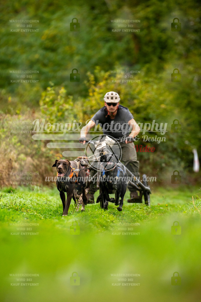 TSB_2023_E6_Kart-5 | PayLife