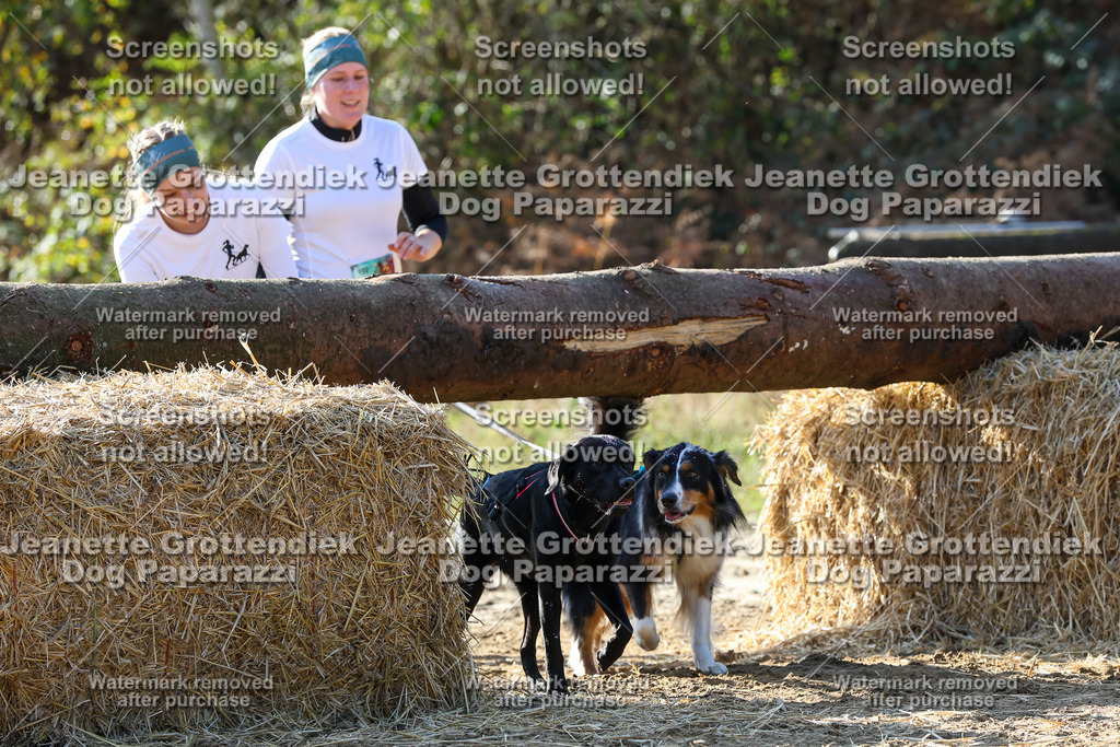 Dog Paparazzi - Strongdog 10-25-6014 | Dog Paparazzi Jeanette Grottendiek Fotografie & Videografie - Realisiert mit Pictrs.com