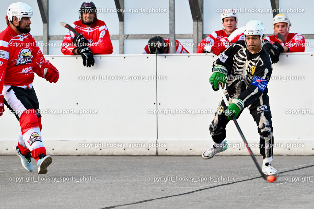 Team Zehenthof vs. HSC Eagles 7.7.2023 | #71 Hofferer Patrick, #96 Granza Iacopo