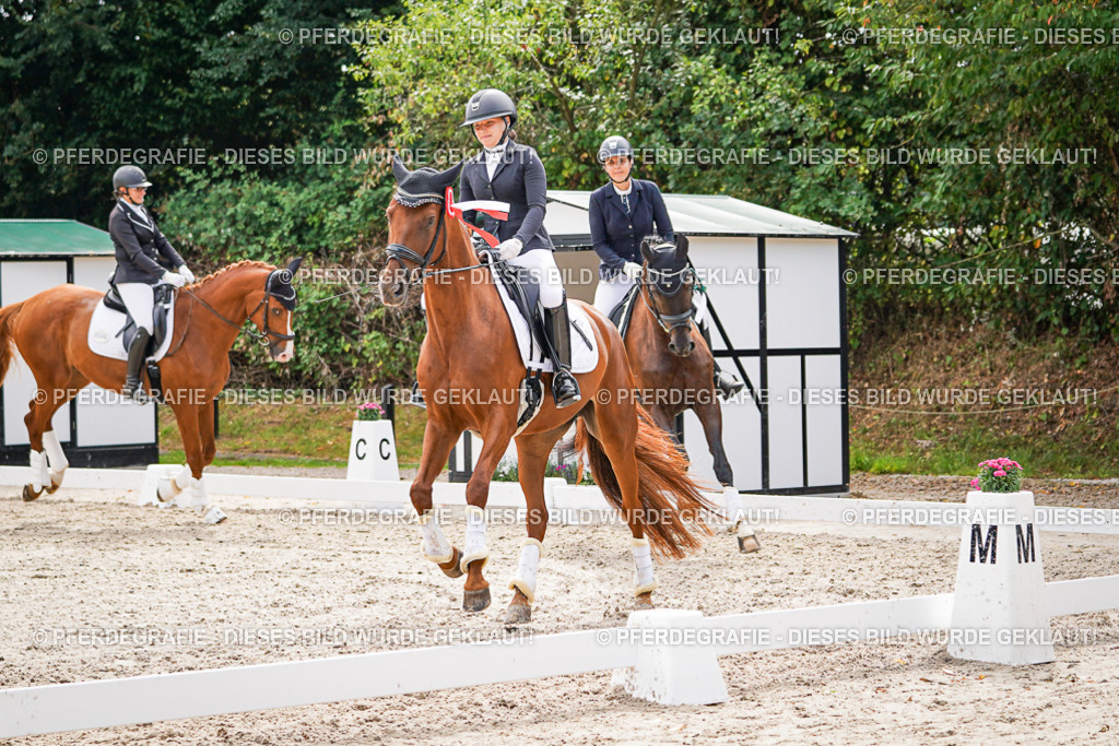 DSC02402 | Pferdegrafie