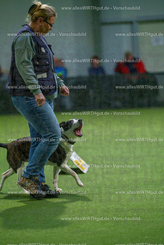 7R509850 | Professionelle Tierfotografie in Mönchengladbach von Daniel Wirth (allesWIRTHgut). Liebevolle & natürliche Bilder von Hunden & Katzen für unvergessliche Erinnerungen.