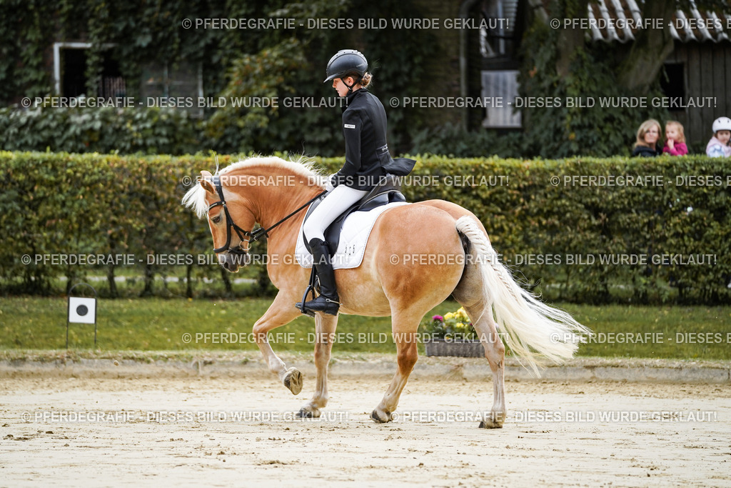 DSC04826 | Pferdegrafie