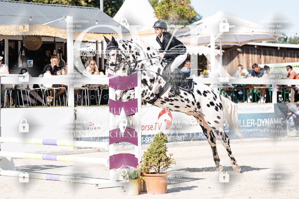 CK905018 | Turnierfotografie Pferdefotografie Trier Rheinland-Pfalz Pferdesport Reitsport Tierfotografie Sportfotografie Pferdevideo Pferdevideografie Equestrianvideography equestrianphotography  - Realisiert mit Pictrs.com