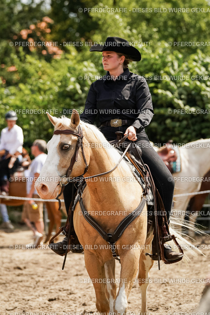 DSC09799 | Pferdegrafie