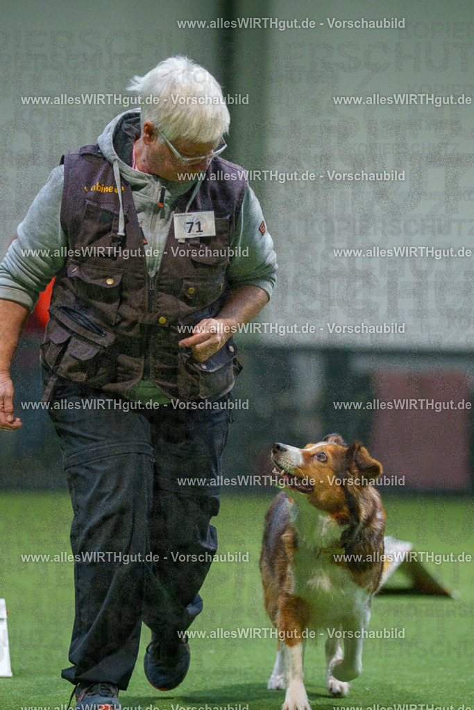 7R504079 | Professionelle Tierfotografie in Mönchengladbach von Daniel Wirth (allesWIRTHgut). Liebevolle & natürliche Bilder von Hunden & Katzen für unvergessliche Erinnerungen.