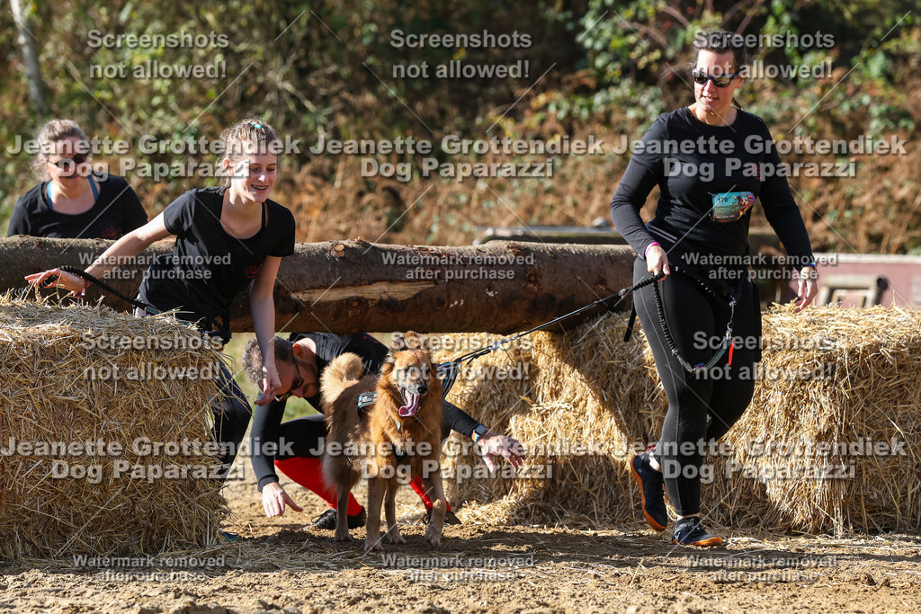 Dog Paparazzi - Strongdog 10-25-4842 | Dog Paparazzi Jeanette Grottendiek Fotografie & Videografie - Realisiert mit Pictrs.com