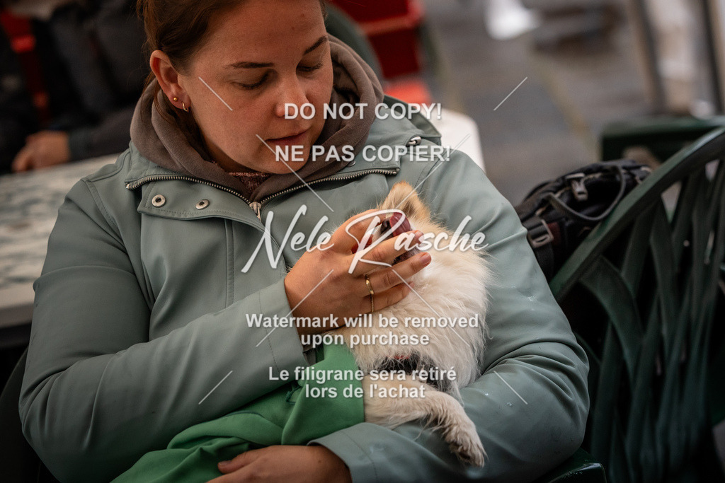 nelerasche_SaAbends_356 | nelerasche