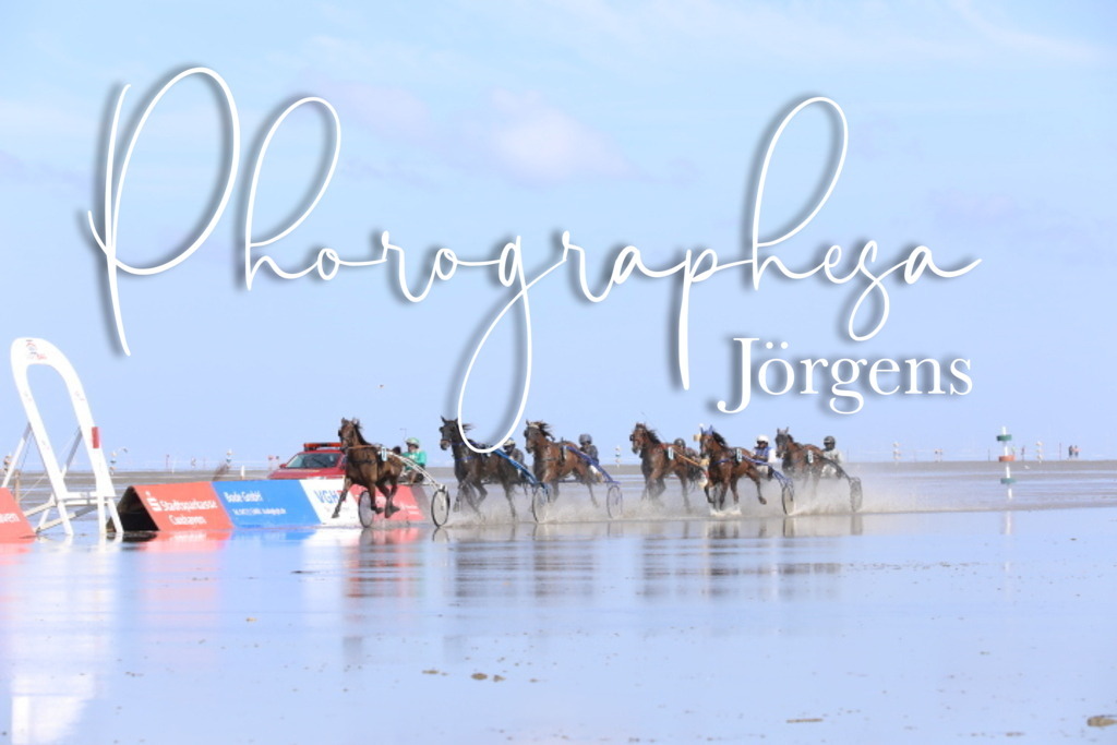 IMG_9092 | photographesa-joergens - Realisiert mit Pictrs.com