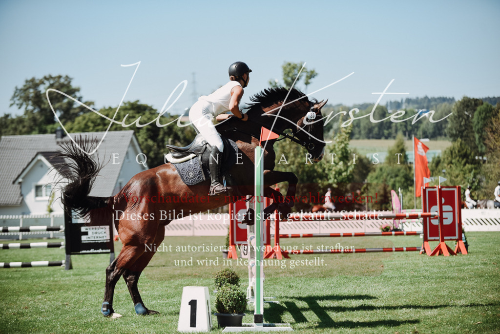 DSC_3046 | Pferde- und Turnierfotografie in Westsachsen. Pferdeportraits, Auftragszeichnungen und intuitive Kunst.