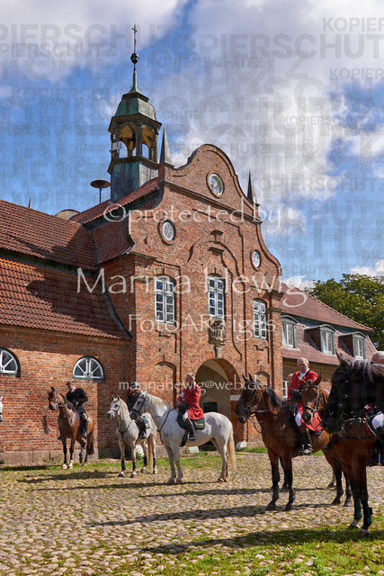 DSC01381_Marina Hewig | Fotografie, FotoArt, PferdesportArt, Pferdesportfotografie, Landschaftsfotografie, Reisefotografie, Reise, Pferde - Realisiert mit Pictrs.com