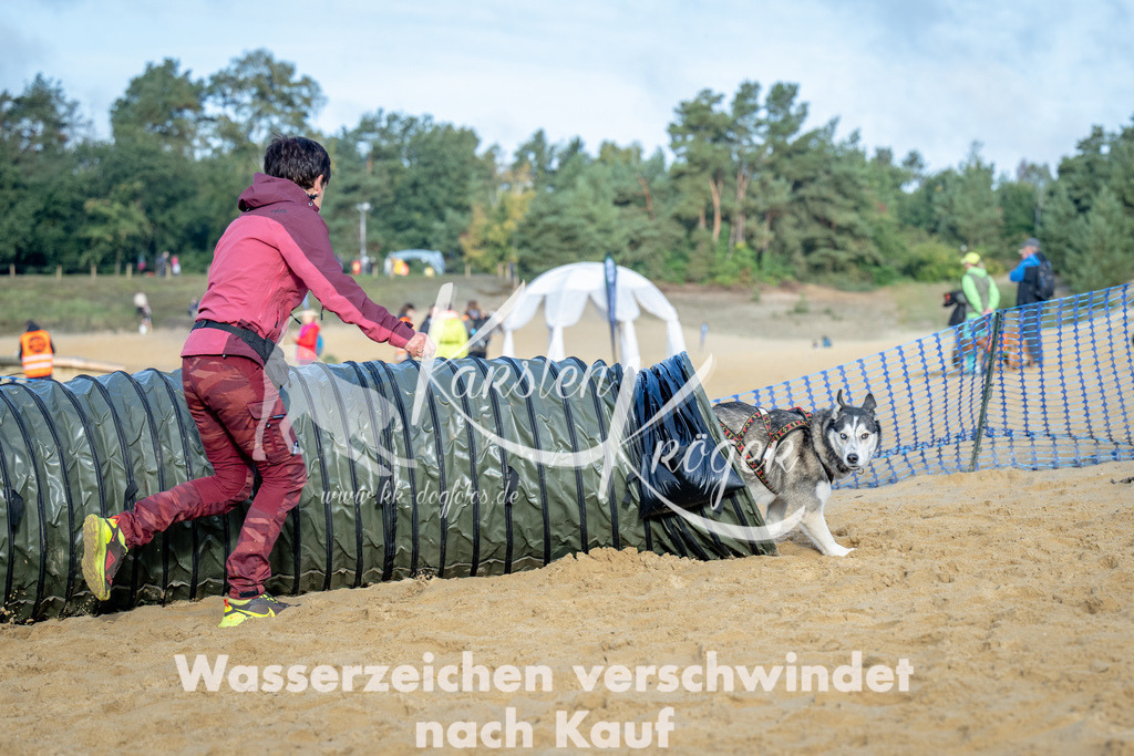 0952_ZZ92940 | kk-dogfotos