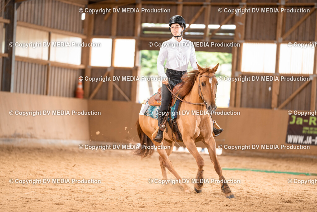 Losheim Tag 1-529 | dv-media-shop - Realisiert mit Pictrs.com