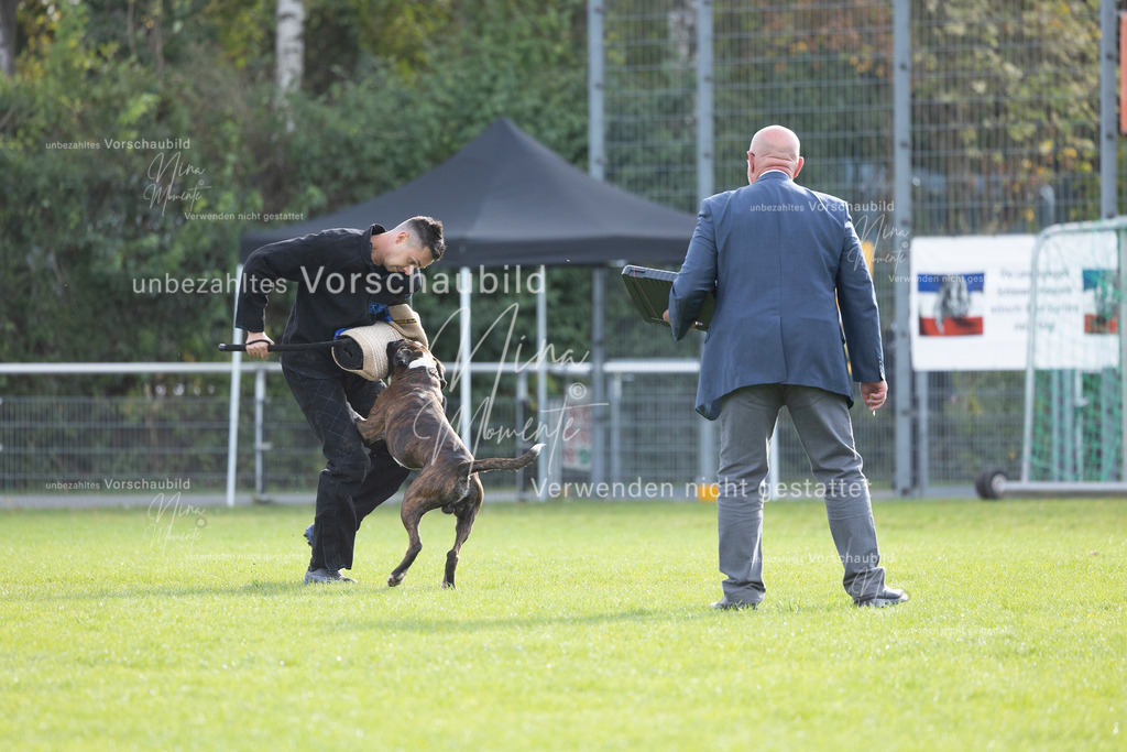 _16A6524 | Einzigartige Fotos von Hunden & Menschen –Actionfotos, Portraits, Vereinsaufnahmen & Paarshootings – authentisch, lebendig & mit Herz.
